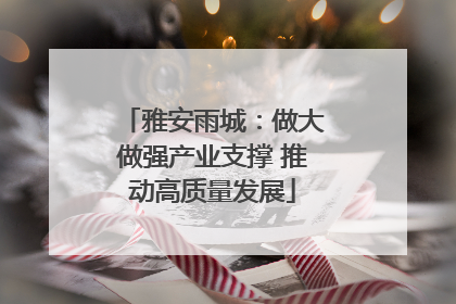 雅安雨城：做大做强产业支撑 推动高质量发展