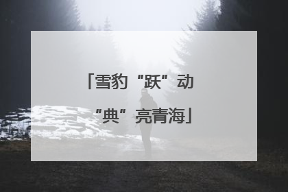 雪豹“跃”动 “典”亮青海