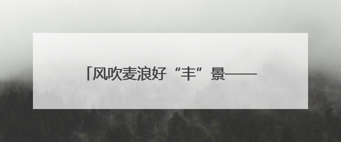 风吹麦浪好“丰”景——多地小麦机收一线见闻