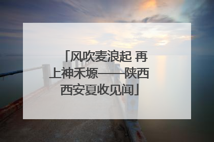 风吹麦浪起 再上神禾塬——陕西西安夏收见闻