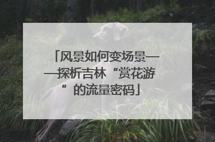 风景如何变场景——探析吉林“赏花游”的流量密码
