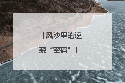 风沙里的逆袭“密码”