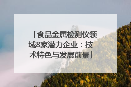 食品金属检测仪领域8家潜力企业：技术特色与发展前景