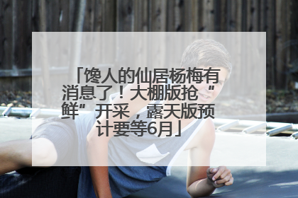 馋人的仙居杨梅有消息了！大棚版抢“鲜”开采，露天版预计要等6月
