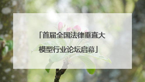 首届全国法律垂直大模型行业论坛启幕