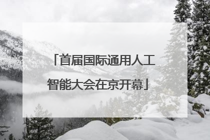 首届国际通用人工智能大会在京开幕