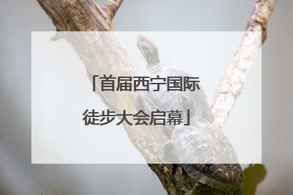 首届西宁国际徒步大会启幕