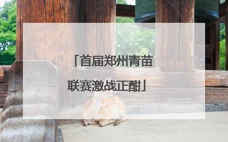 首届郑州青苗联赛激战正酣