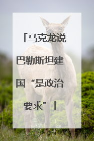 马克龙说巴勒斯坦建国“是政治要求”