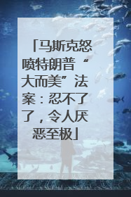 马斯克怒喷特朗普“大而美”法案：忍不了了，令人厌恶至极