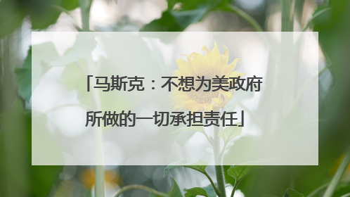 马斯克：不想为美政府所做的一切承担责任