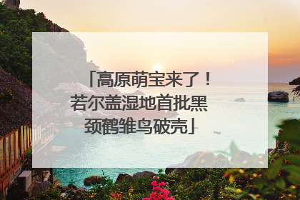 高原萌宝来了！若尔盖湿地首批黑颈鹤雏鸟破壳