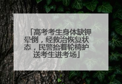 高考考生身体缺钾晕倒，经救治恢复状态，民警抬着轮椅护送考生进考场