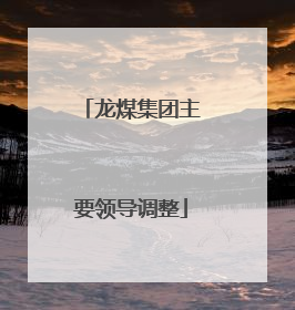 龙煤集团主要领导调整