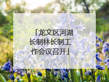龙文区河湖长制林长制工作会议召开