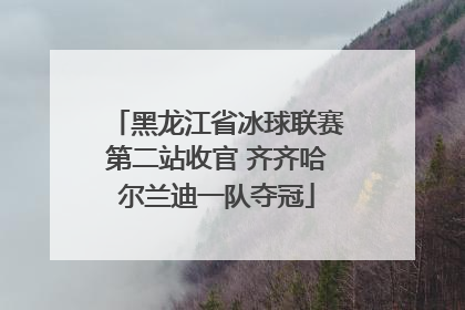 黑龙江省冰球联赛第二站收官 齐齐哈尔兰迪一队夺冠
