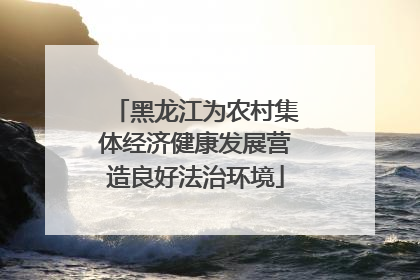 黑龙江为农村集体经济健康发展营造良好法治环境