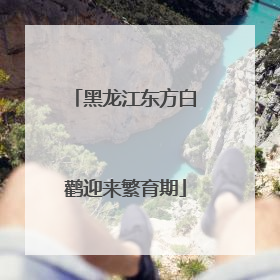 黑龙江东方白鹳迎来繁育期