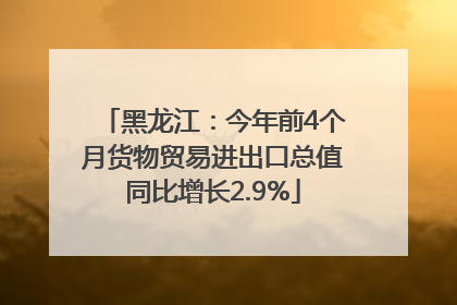 黑龙江：今年前4个月货物贸易进出口总值同比增长2.9%