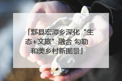 黟县宏潭乡深化“生态+文旅”融合 勾勒和美乡村新图景