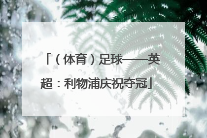 （体育）足球——英超：利物浦庆祝夺冠