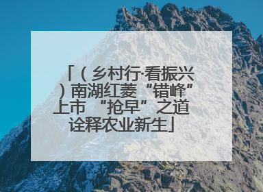 （乡村行·看振兴）南湖红菱“错峰”上市 “抢早”之道诠释农业新生