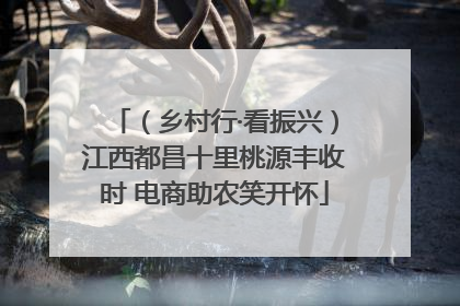 （乡村行·看振兴）江西都昌十里桃源丰收时 电商助农笑开怀