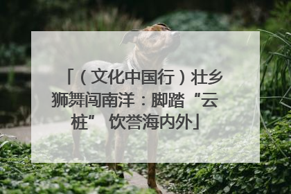 （文化中国行）壮乡狮舞闯南洋：脚踏“云桩” 饮誉海内外