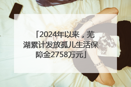 2024年以来，芜湖累计发放孤儿生活保障金2758万元