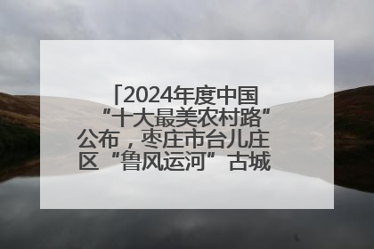 2024年度中国“十大最美农村路”公布，枣庄市台儿庄区“鲁风运河”古城文化廊道上榜！