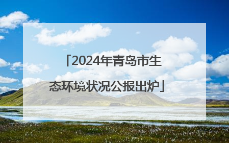 2024年青岛市生态环境状况公报出炉