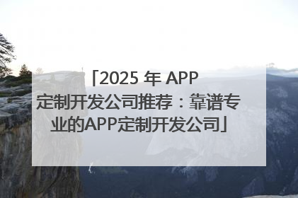 2025 年 APP 定制开发公司推荐：靠谱专业的APP定制开发公司