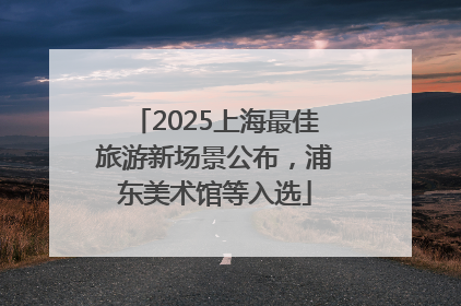 2025上海最佳旅游新场景公布，浦东美术馆等入选