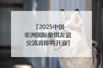 2025中国-非洲国际象棋友谊交流赛即将开赛