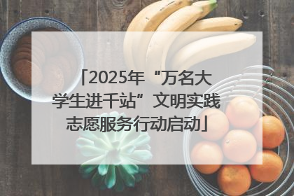 2025年“万名大学生进千站”文明实践志愿服务行动启动