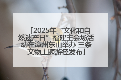 2025年“文化和自然遗产日”福建主会场活动在漳州东山举办 三条文物主题游径发布