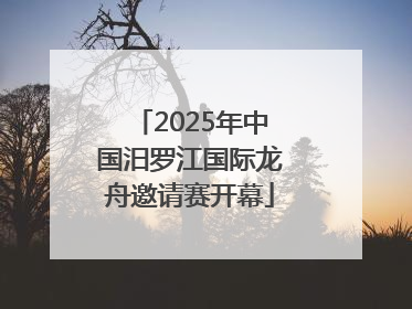 2025年中国汨罗江国际龙舟邀请赛开幕