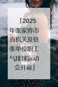 2025年张家界市直机关及驻张单位职工气排球运动会开幕