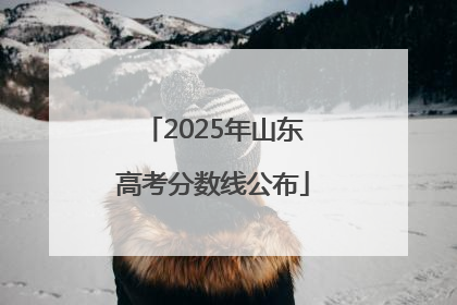 2025年山东高考分数线公布