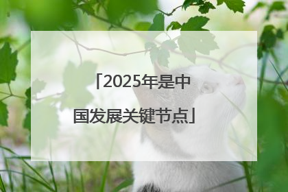 2025年是中国发展关键节点