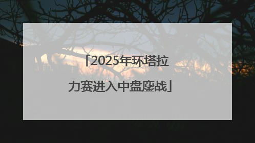 2025年环塔拉力赛进入中盘鏖战