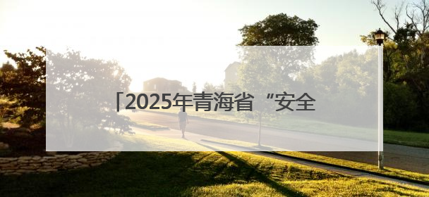 2025年青海省“安全宣传咨询日”活动举行