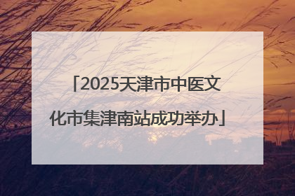 2025天津市中医文化市集津南站成功举办