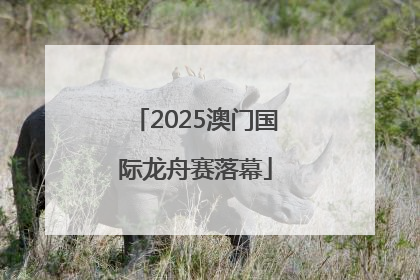 2025澳门国际龙舟赛落幕