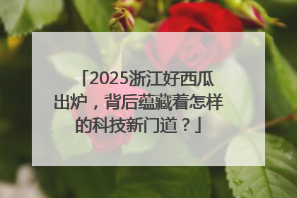 2025浙江好西瓜出炉，背后蕴藏着怎样的科技新门道？