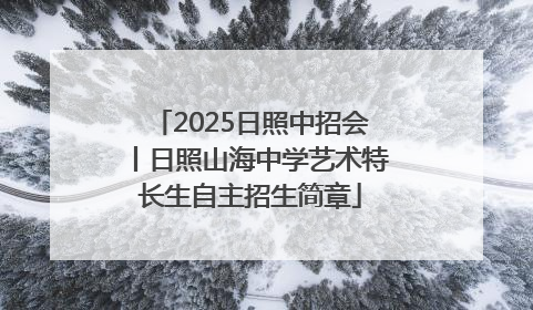 2025日照中招会丨日照山海中学艺术特长生自主招生简章