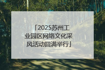 2025苏州工业园区网络文化采风活动圆满举行
