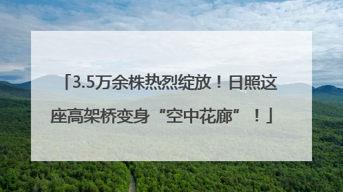 3.5万余株热烈绽放！日照这座高架桥变身“空中花廊”！