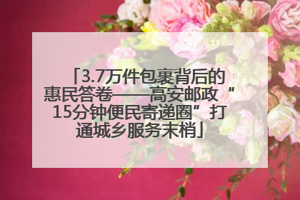 3.7万件包裹背后的惠民答卷——高安邮政“15分钟便民寄递圈”打通城乡服务末梢