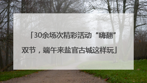30余场次精彩活动“嗨翻”双节，端午来盐官古城这样玩
